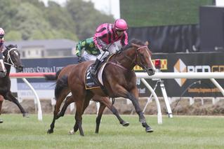 Following a close eighth in the Karaka Million 3YO Classic (1600m), Imelda Mary stepped back up to 2000 metres on Saturday and again showed her class.